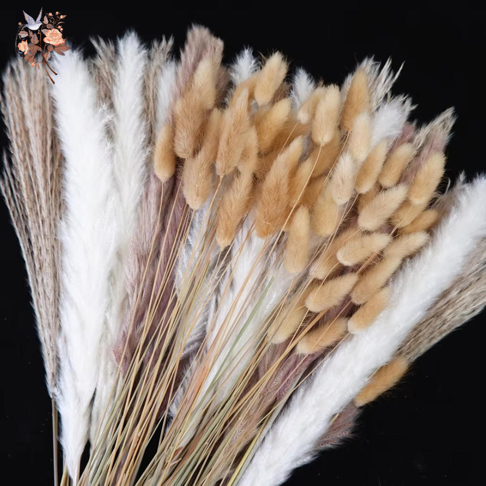 Dried Pampas Bundle - Buquê de Flores Naturais Secas Mistas,