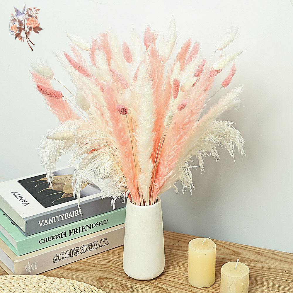 Dried Pampas Bundle - 62 peças palhetas brancas rosa coelho