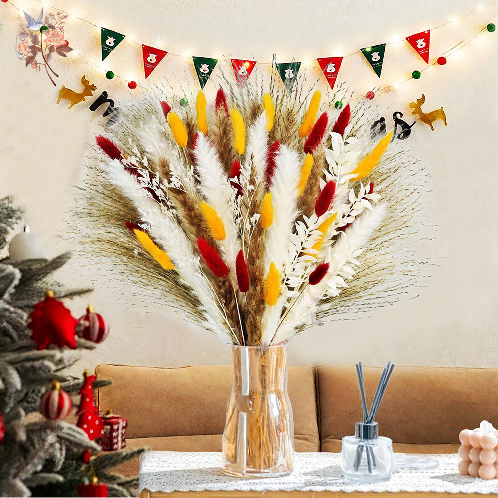 Dried Pampas Bundle - 70 hastes naturais fofas pampas grama