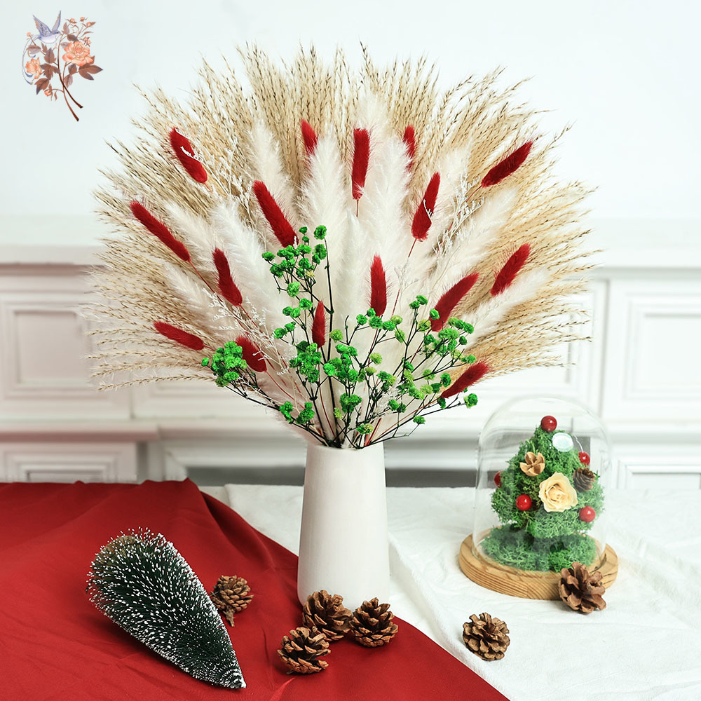 Buquê de flores secas, 55 peça - Dried Pampas Bundle avaliação e preço